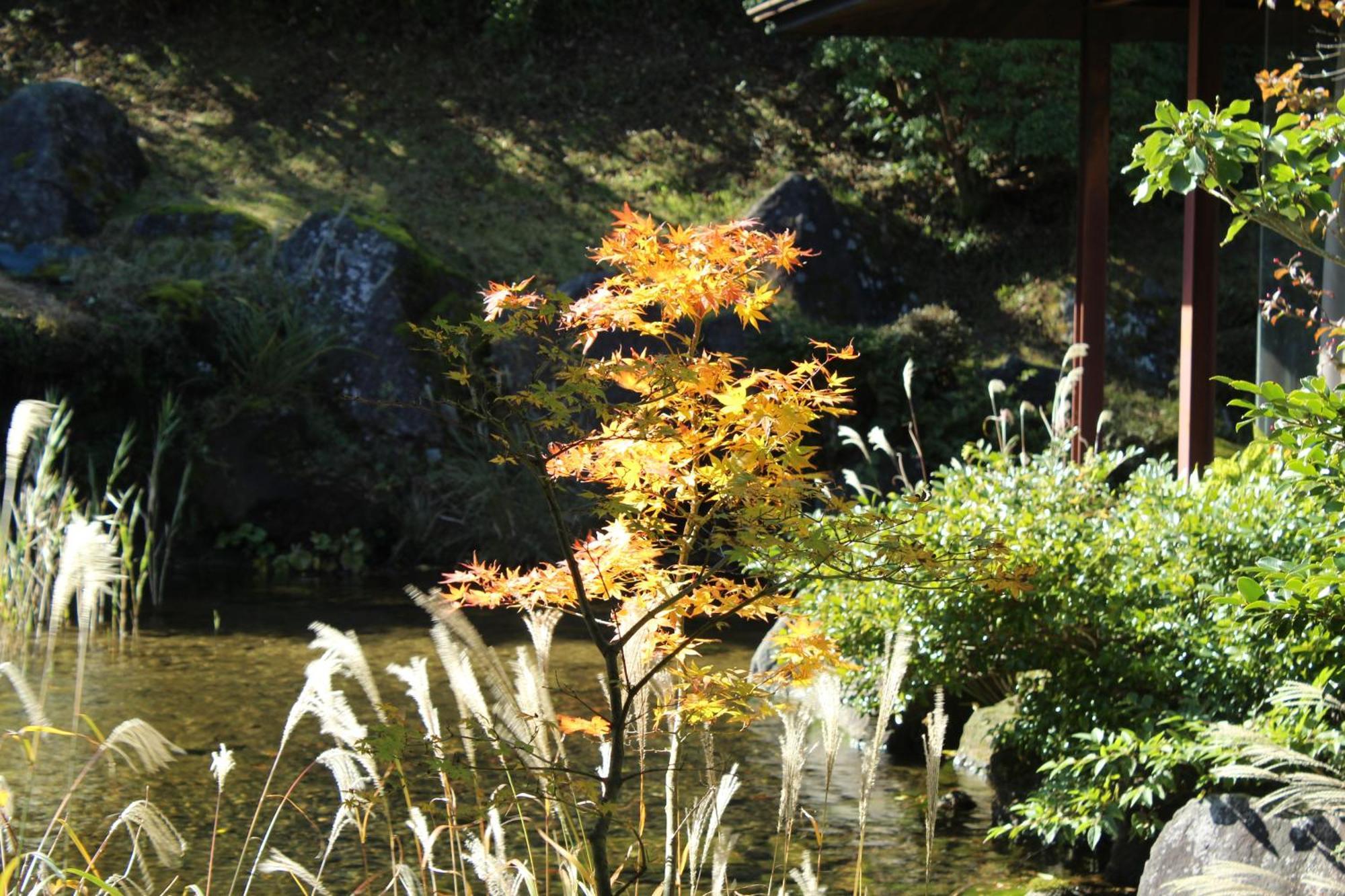 Hakone Yunohana Prince Hotel Kanagawa Exteriér fotografie